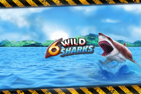 6 Wild Sharks