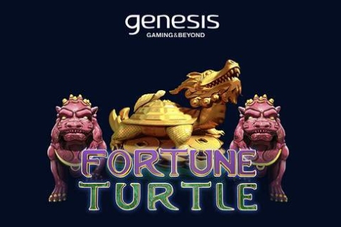 Fortune Turtle
