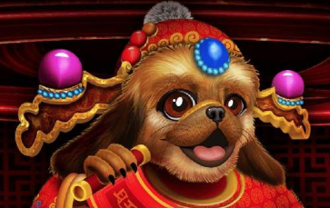 Year of the Dog