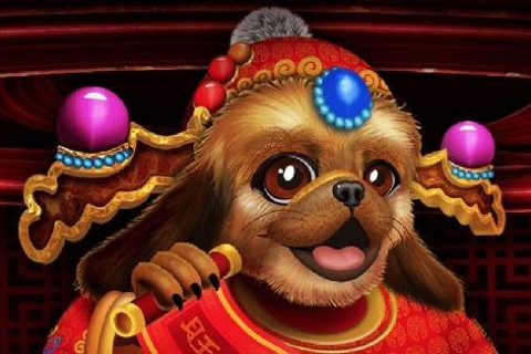 Year of the Dog