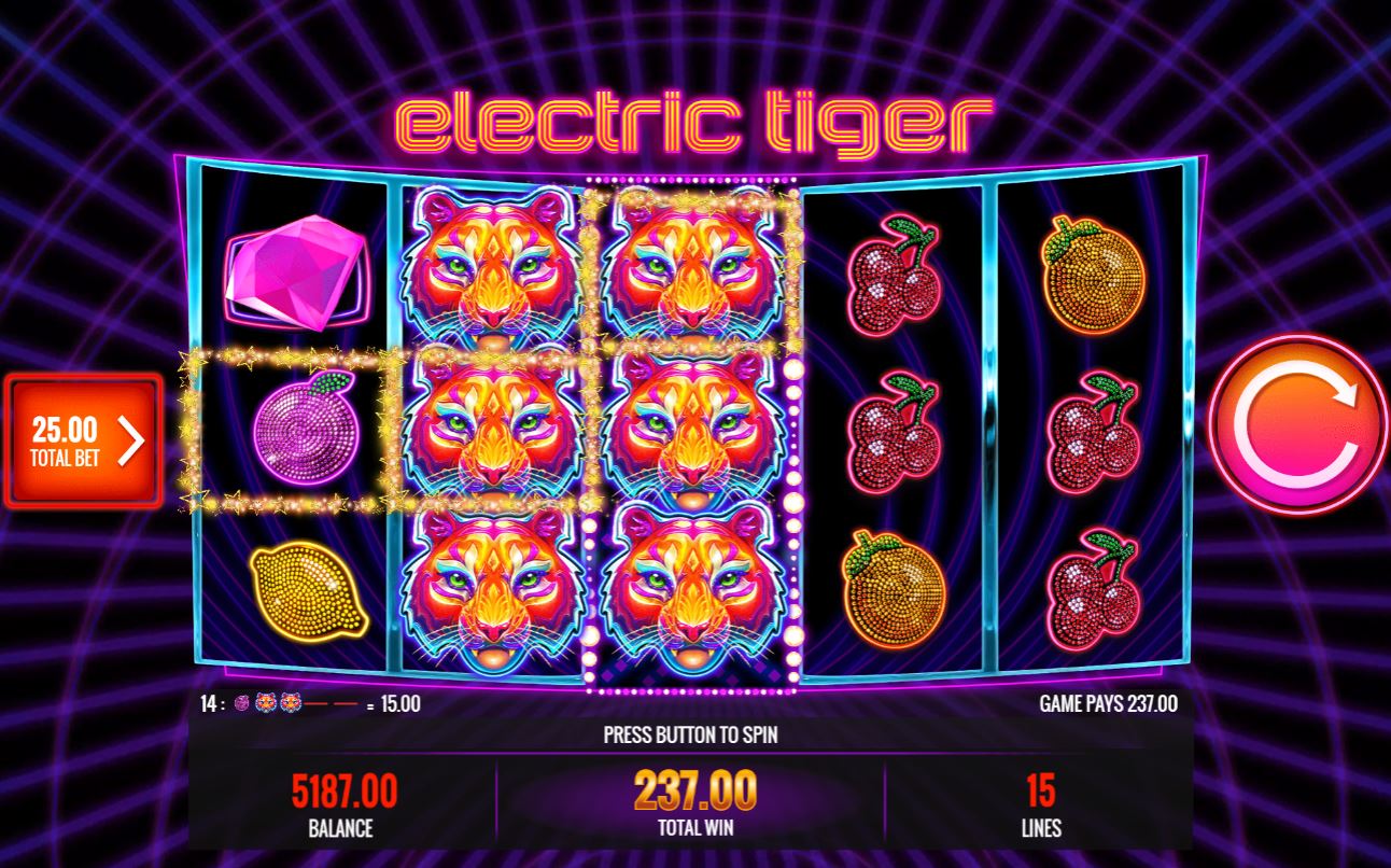 Gameplay of Electric Tiger