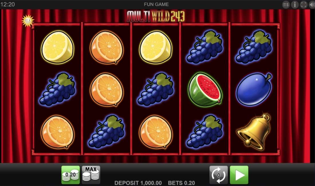 Gameplay of Multi Wild 243