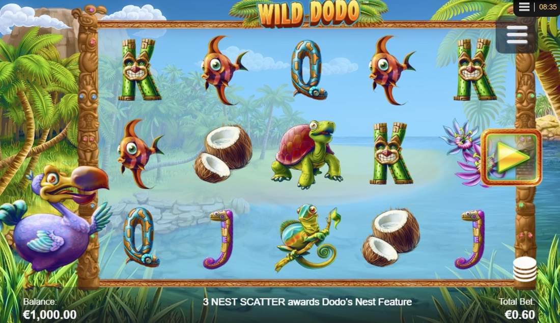 Gameplay of Wild Dodo