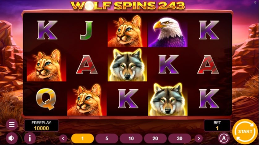 Gameplay of Wolf Spins 243